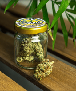 CBD SHOP