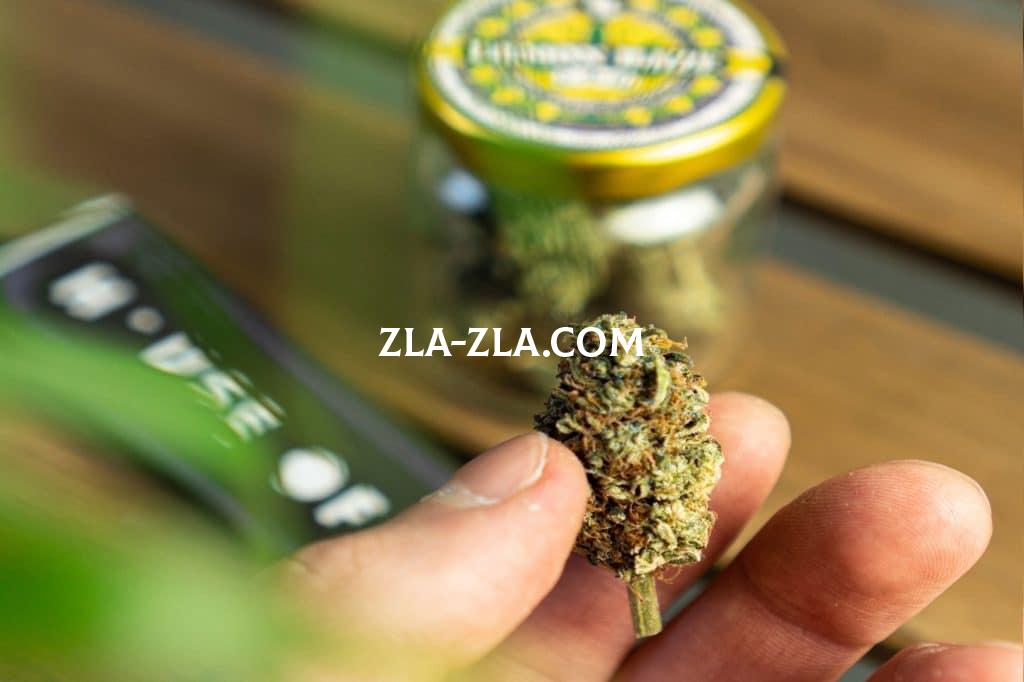 custom-rizle.jpg-blog
