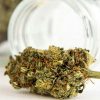 cbd cvet
