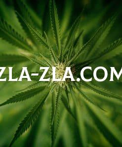 GROW SHOP
