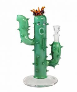 stakleni-bong-kaktus