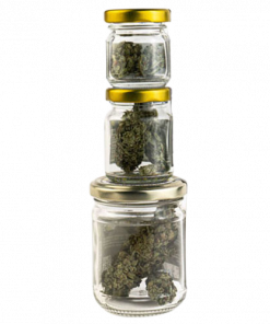 CBD CVETOVI