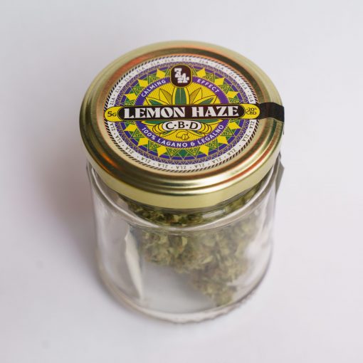 CBD CVET LEMON HAZE 5g 🌿