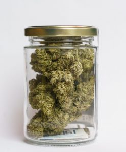 Lemon haze CBD
