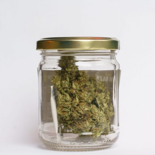 CBD CVET LEMON HAZE 5g 🌿