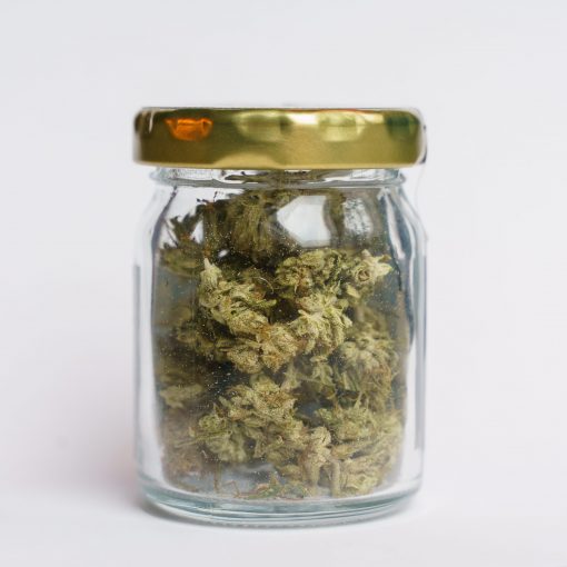 CBD CVET LEMON HAZE 2.5g 🌿 0.5g GRATIS